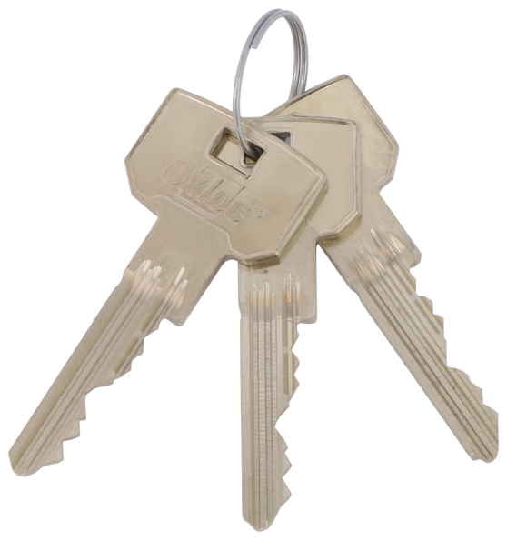 Afbeelding - https-www-ez-catalog-nl-Asset-d5e8206a16cc4492a4e72d5411d5f127-ImageFullSize-O7-Cilinder-sleutel-jpg